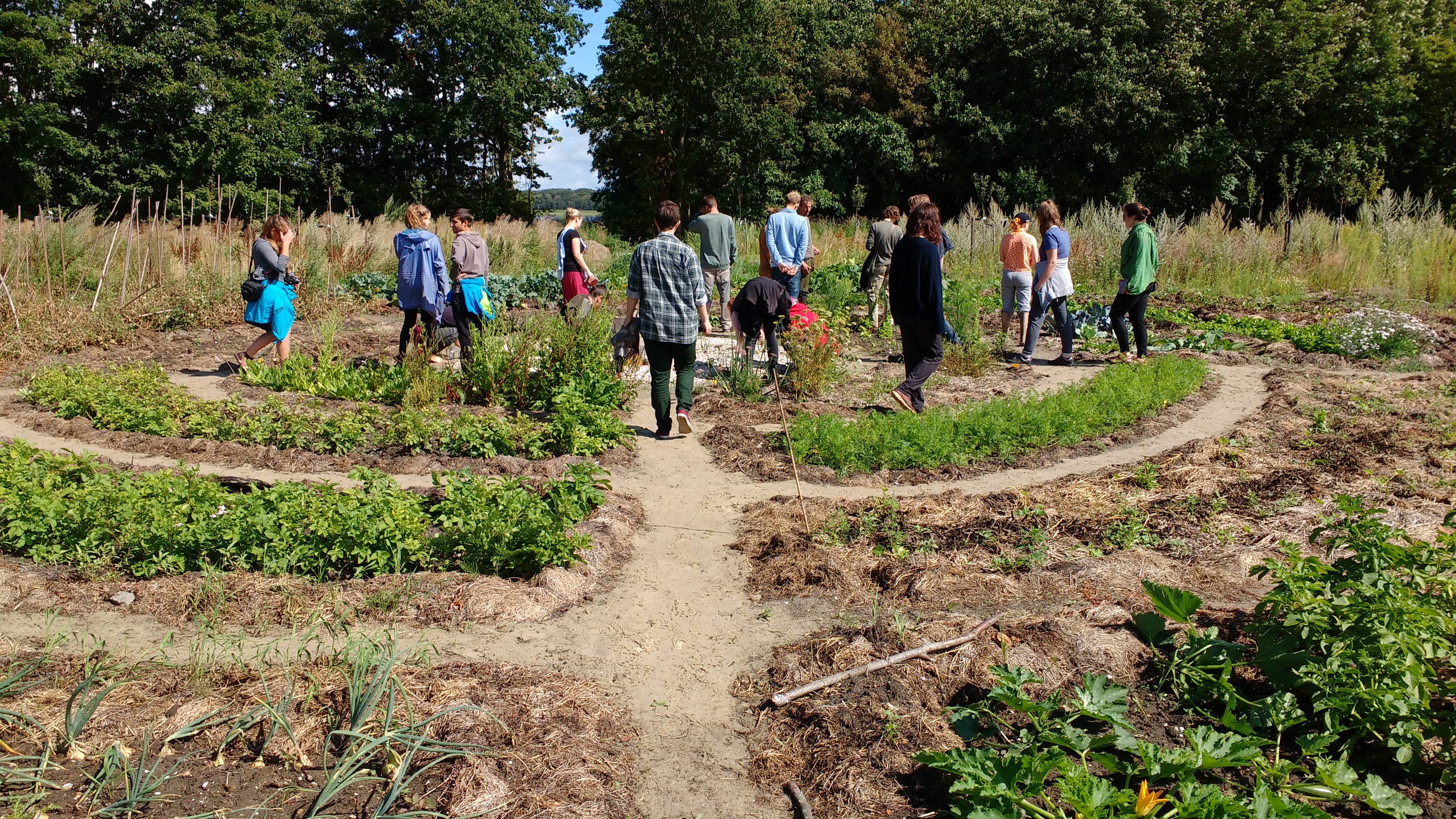 garden ecodorp