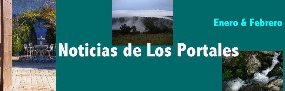 Noticias de Los Portales